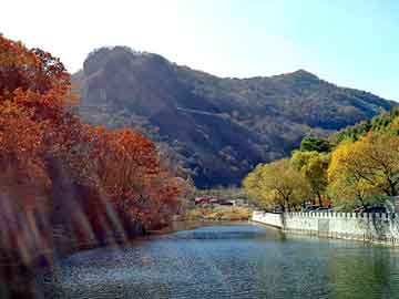 澳门二四六天天彩图库，上海宠物大会